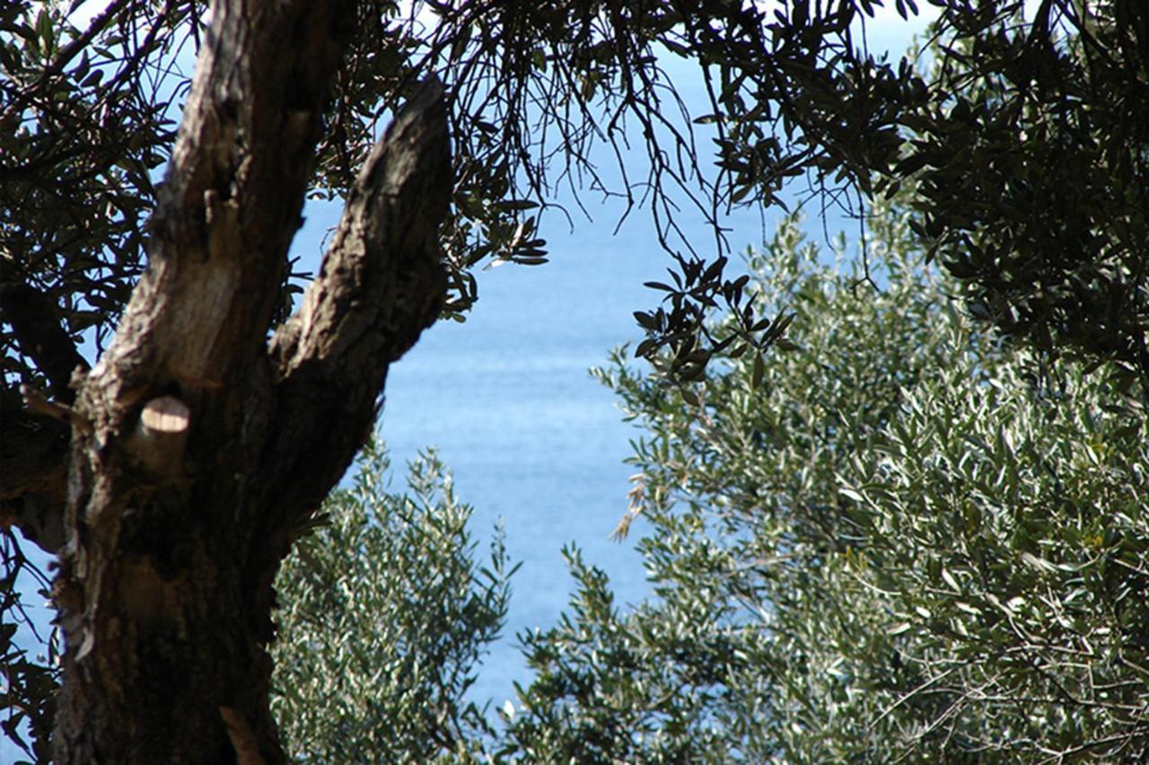 Luxury Bonbon Next To Banje Beach And Old Town, Great Location Dubrovnik Exteriör bild